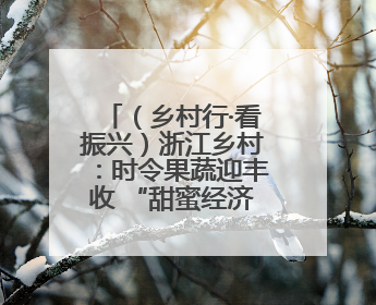 （乡村行·看振兴）浙江乡村：时令果蔬迎丰收 “甜蜜经济”促振兴