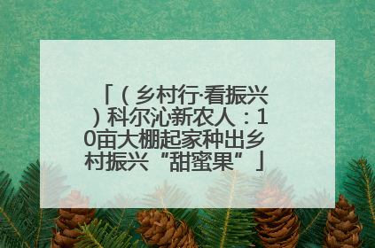 （乡村行·看振兴）科尔沁新农人：10亩大棚起家种出乡村振兴“甜蜜果”