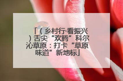 （乡村行·看振兴）舌尖“欢腾”科尔沁草原：打卡“草原味道”新地标