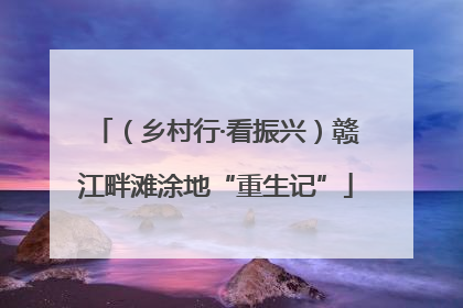 （乡村行·看振兴）赣江畔滩涂地“重生记”
