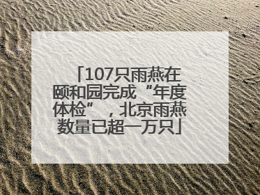 107只雨燕在颐和园完成“年度体检”，北京雨燕数量已超一万只