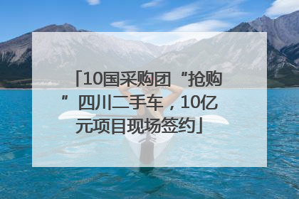10国采购团“抢购”四川二手车，10亿元项目现场签约