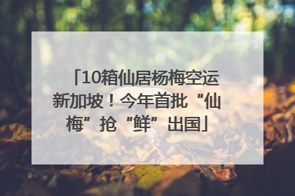 10箱仙居杨梅空运新加坡！今年首批“仙梅”抢“鲜”出国