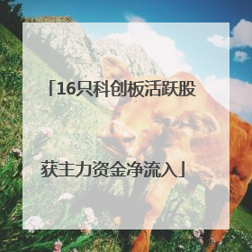 16只科创板活跃股获主力资金净流入