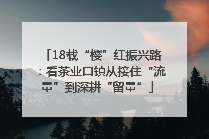 18载“樱”红振兴路：看茶业口镇从接住“流量”到深耕“留量”