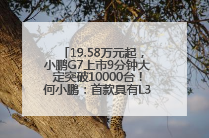 19.58万元起，小鹏G7上市9分钟大定突破10000台！何小鹏：首款具有L3级算力的AI汽车！雷军此前预祝发布成功