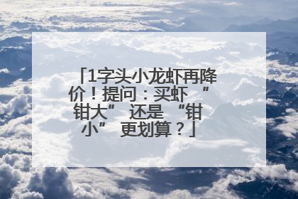 1字头小龙虾再降价！提问：买虾 “钳大” 还是 “钳小” 更划算？