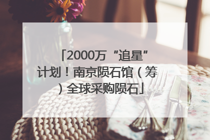 2000万“追星”计划！南京陨石馆（筹）全球采购陨石