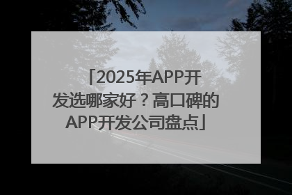 2025年APP开发选哪家好？高口碑的APP开发公司盘点