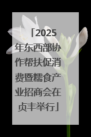 2025年东西部协作帮扶促消费暨糯食产业招商会在贞丰举行