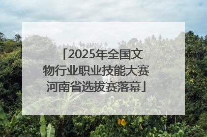 2025年全国文物行业职业技能大赛河南省选拔赛落幕