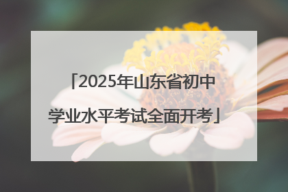 2025年山东省初中学业水平考试全面开考