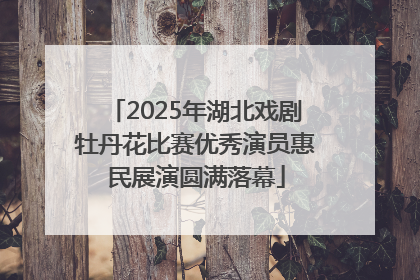 2025年湖北戏剧牡丹花比赛优秀演员惠民展演圆满落幕