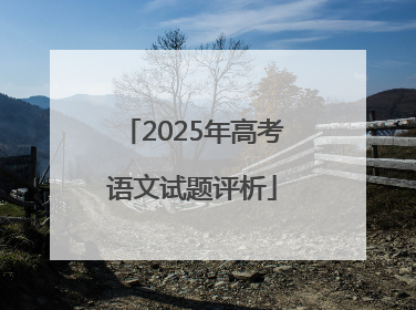 2025年高考语文试题评析