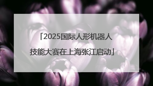2025国际人形机器人技能大赛在上海张江启动