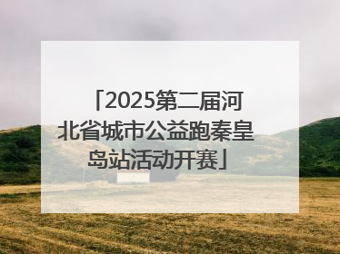 2025第二届河北省城市公益跑秦皇岛站活动开赛