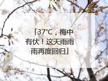 37℃，梅中有伏！这天雨雨雨再度回归