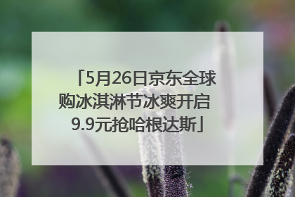 5月26日京东全球购冰淇淋节冰爽开启 9.9元抢哈根达斯