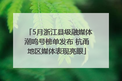 5月浙江县级融媒体潮鸣号榜单发布 杭甬地区媒体表现亮眼