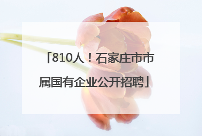 810人！石家庄市市属国有企业公开招聘