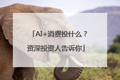 AI+消费投什么？资深投资人告诉你