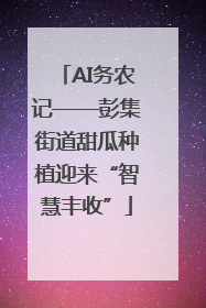 AI务农记——彭集街道甜瓜种植迎来“智慧丰收”