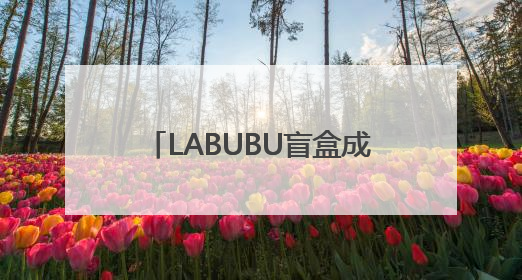 LABUBU盲盒成揽储利器？平安银行新户存5万以上就送，多地分支行跟进