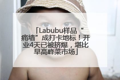 Labubu样品“痛墙”成打卡地标！开业4天已被挤爆，堪比早高峰菜市场