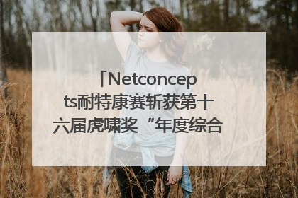 Netconcepts耐特康赛斩获第十六届虎啸奖“年度综合服务商”大奖