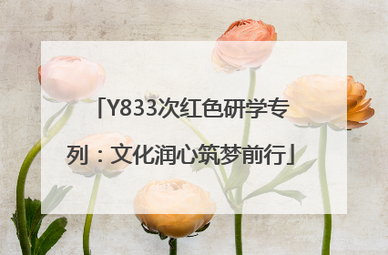Y833次红色研学专列：文化润心筑梦前行