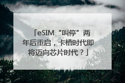 eSIM“叫停”两年后重启，卡槽时代即将迈向芯片时代？